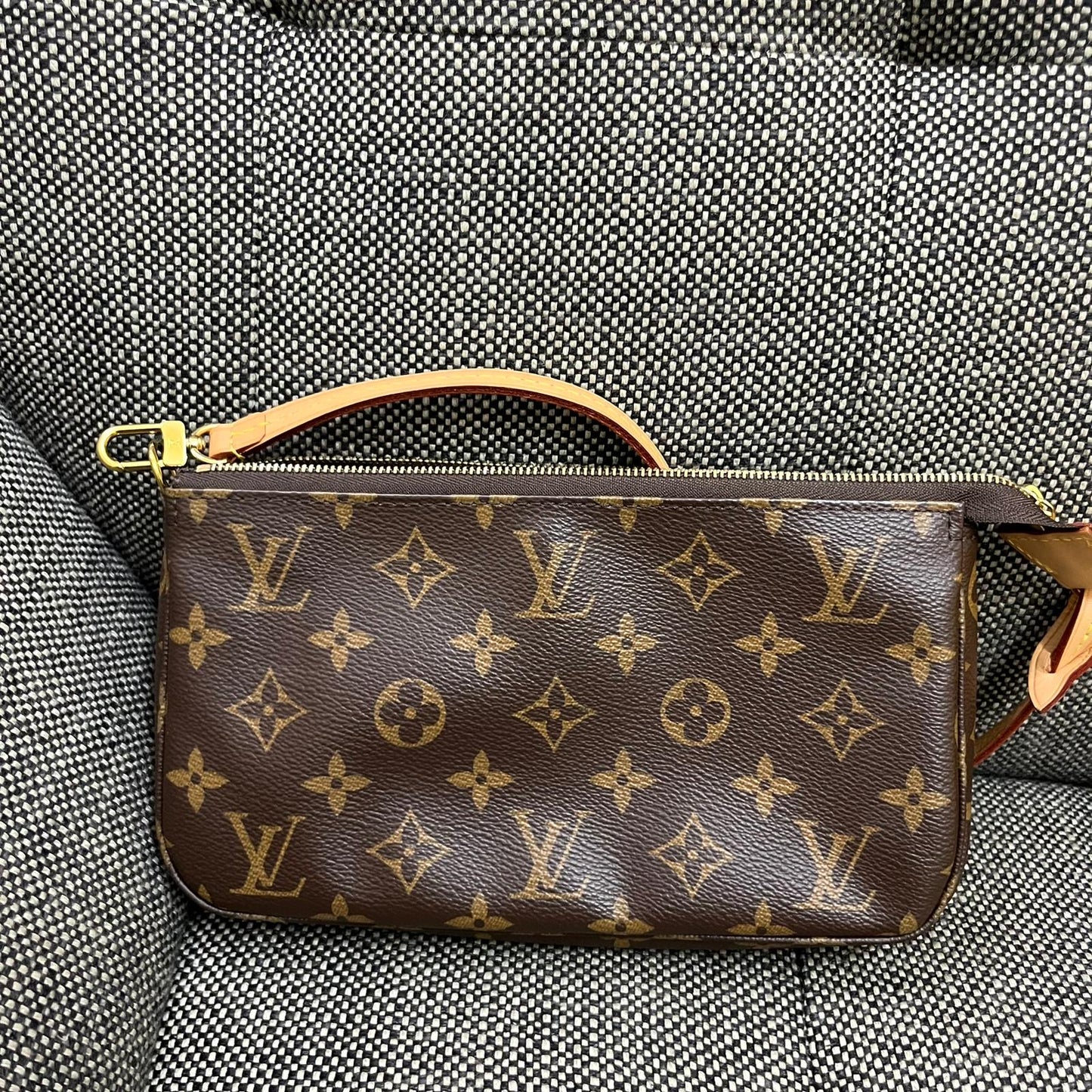Louis Vuitton Pochette Accessories Bag