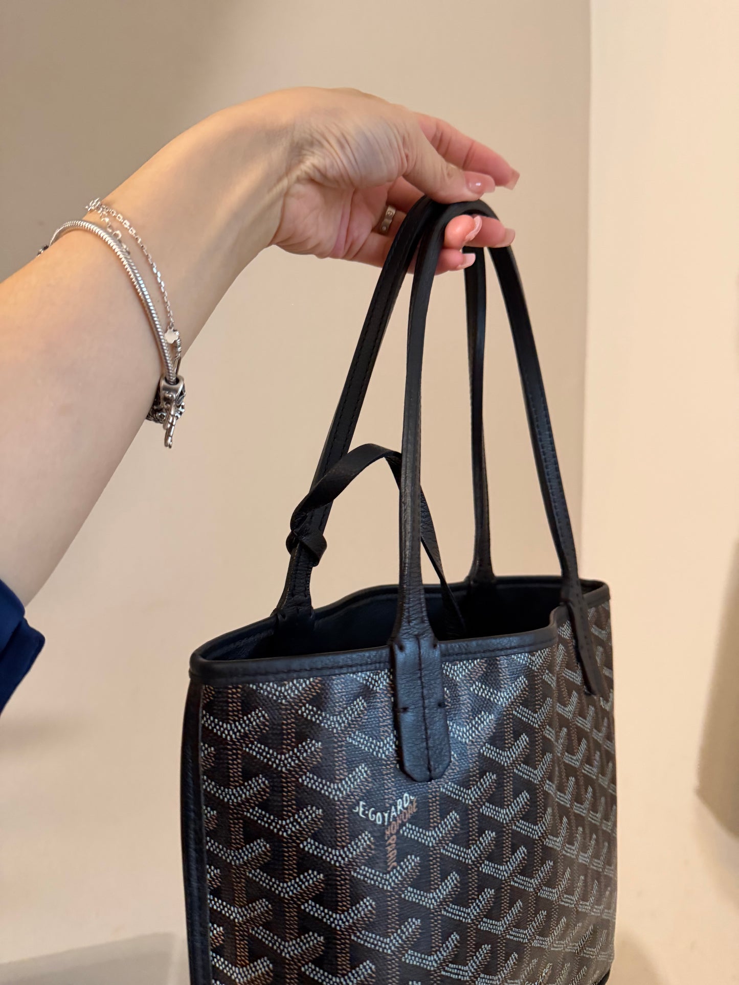 Goyard Mini Anjou Black