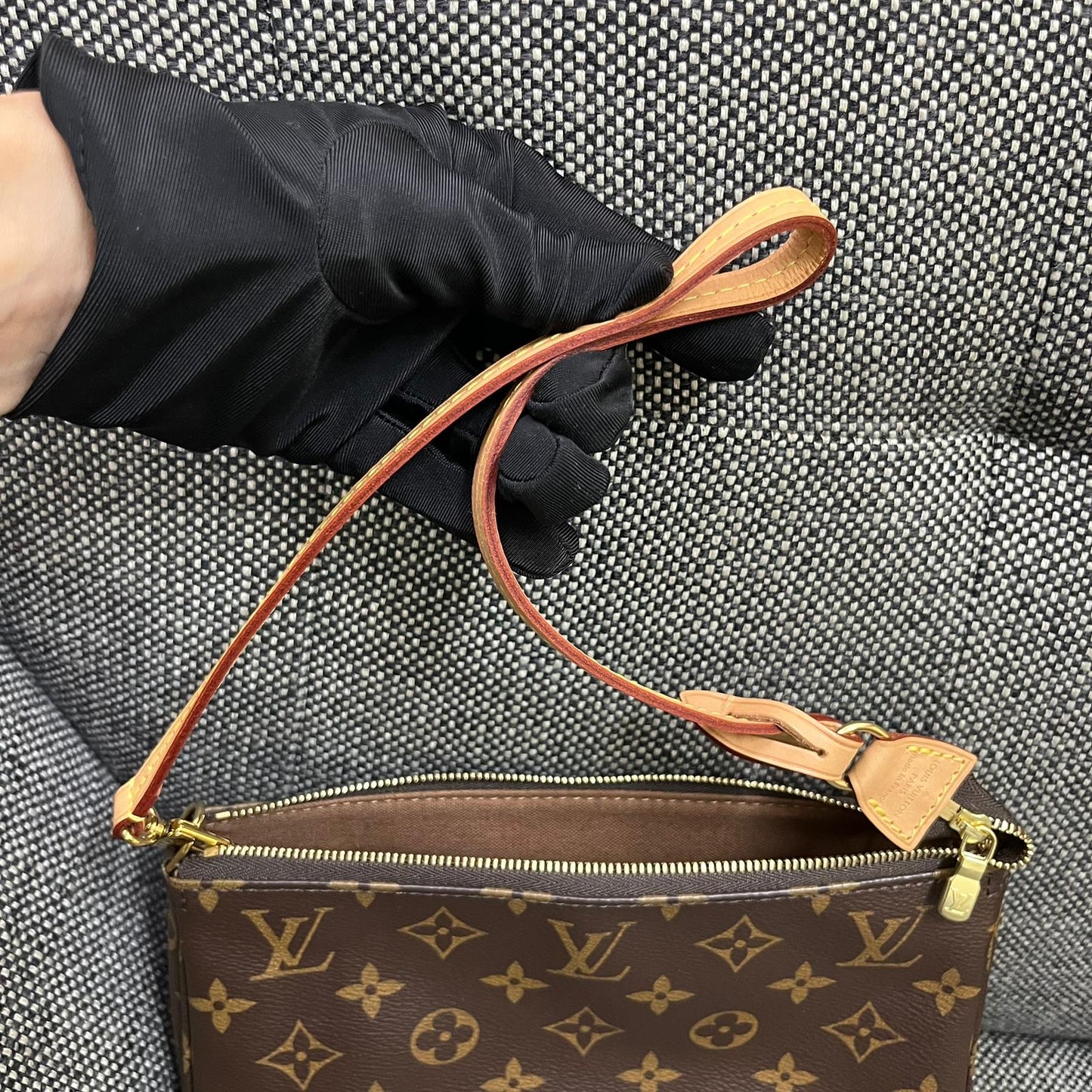 Louis Vuitton Pochette Accessories Bag