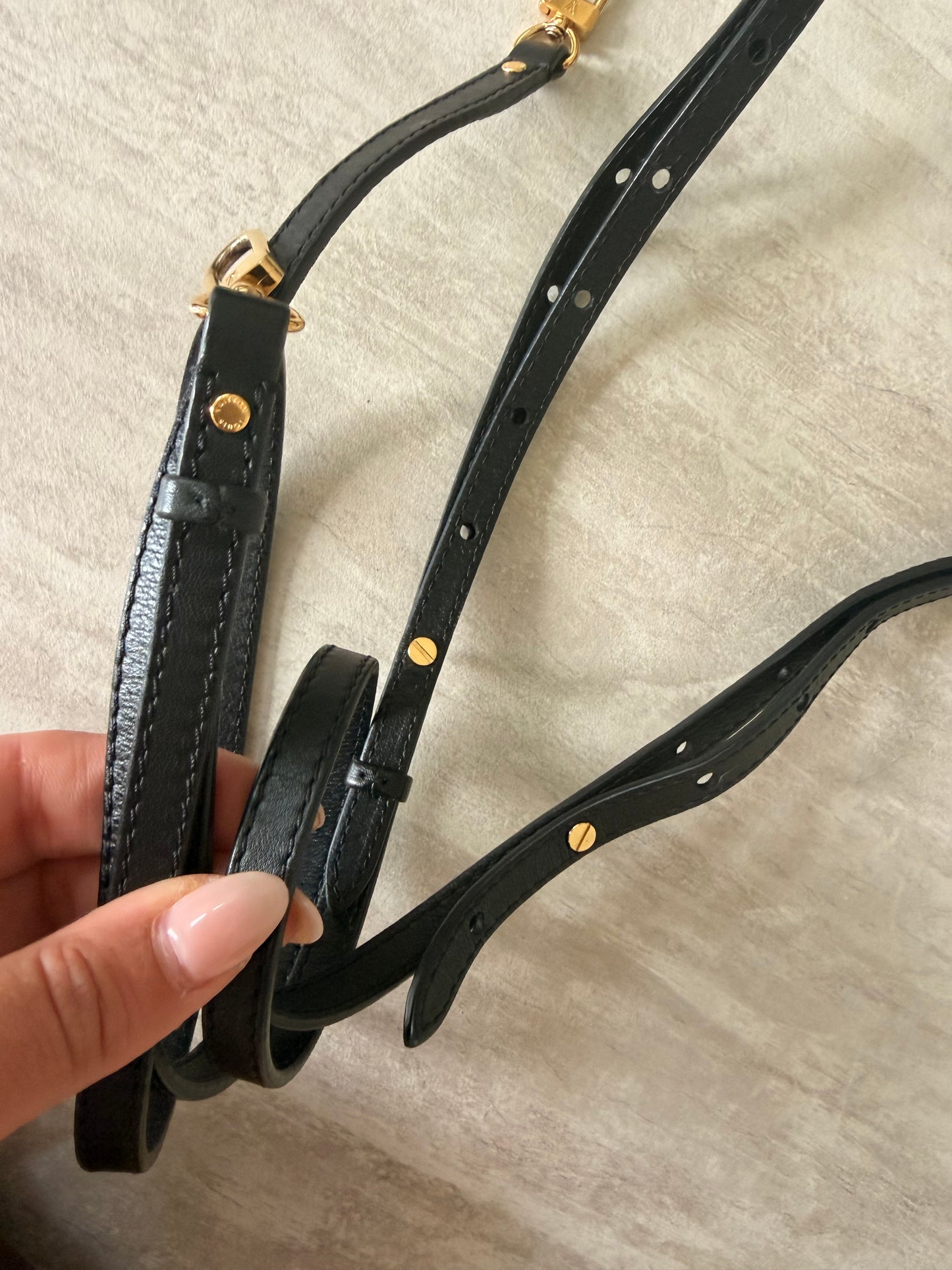 Louis Vuitton Palm Springs Mini Backpack