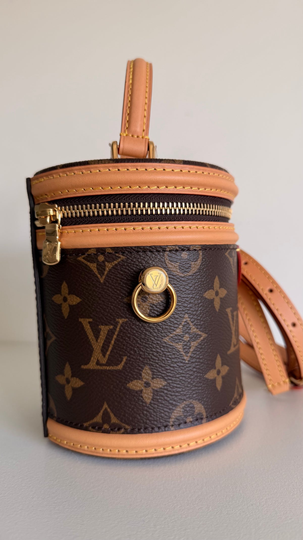 Louis Vuitton Cannes Mini