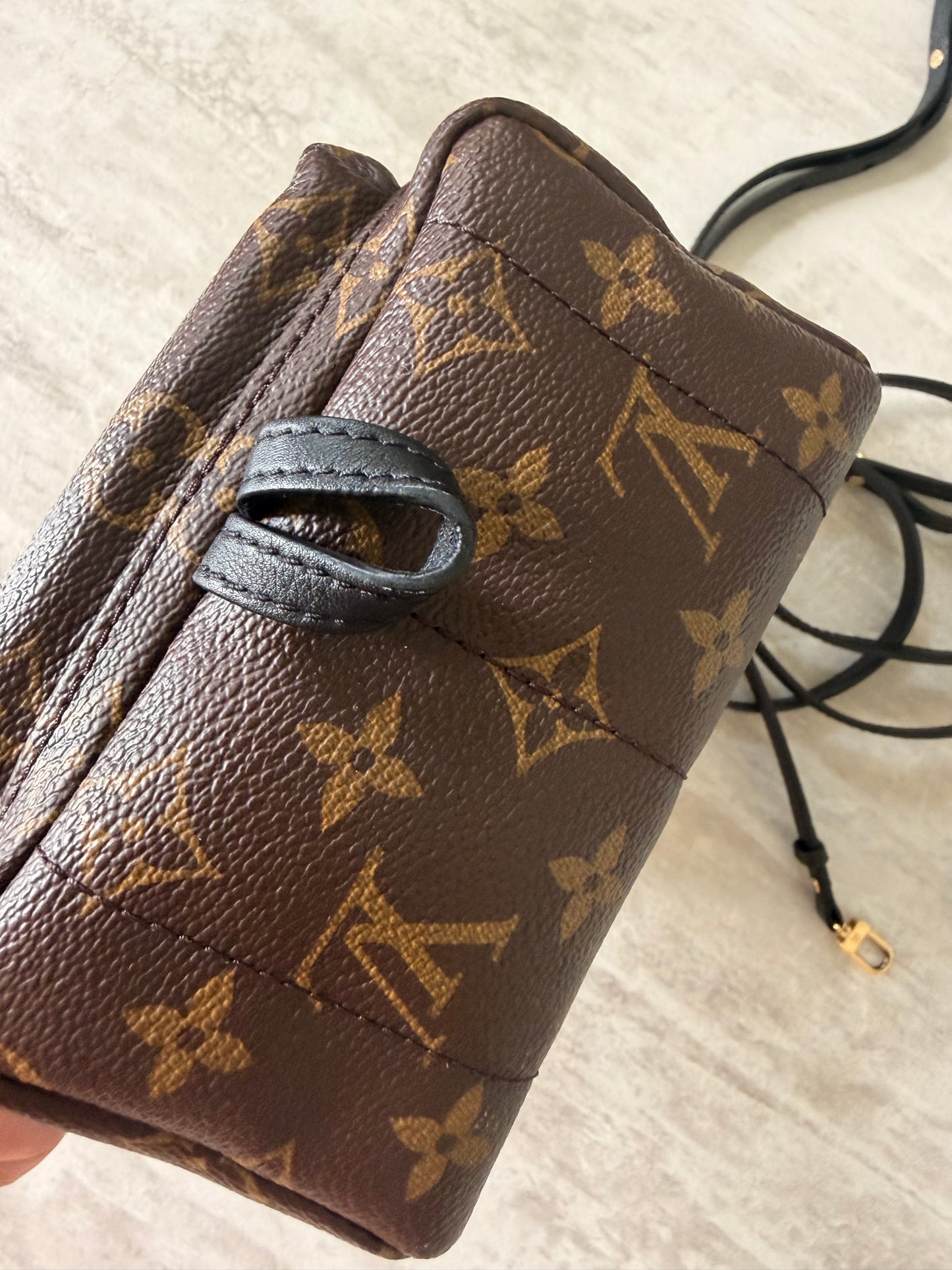 Louis Vuitton Palm Springs Mini Backpack
