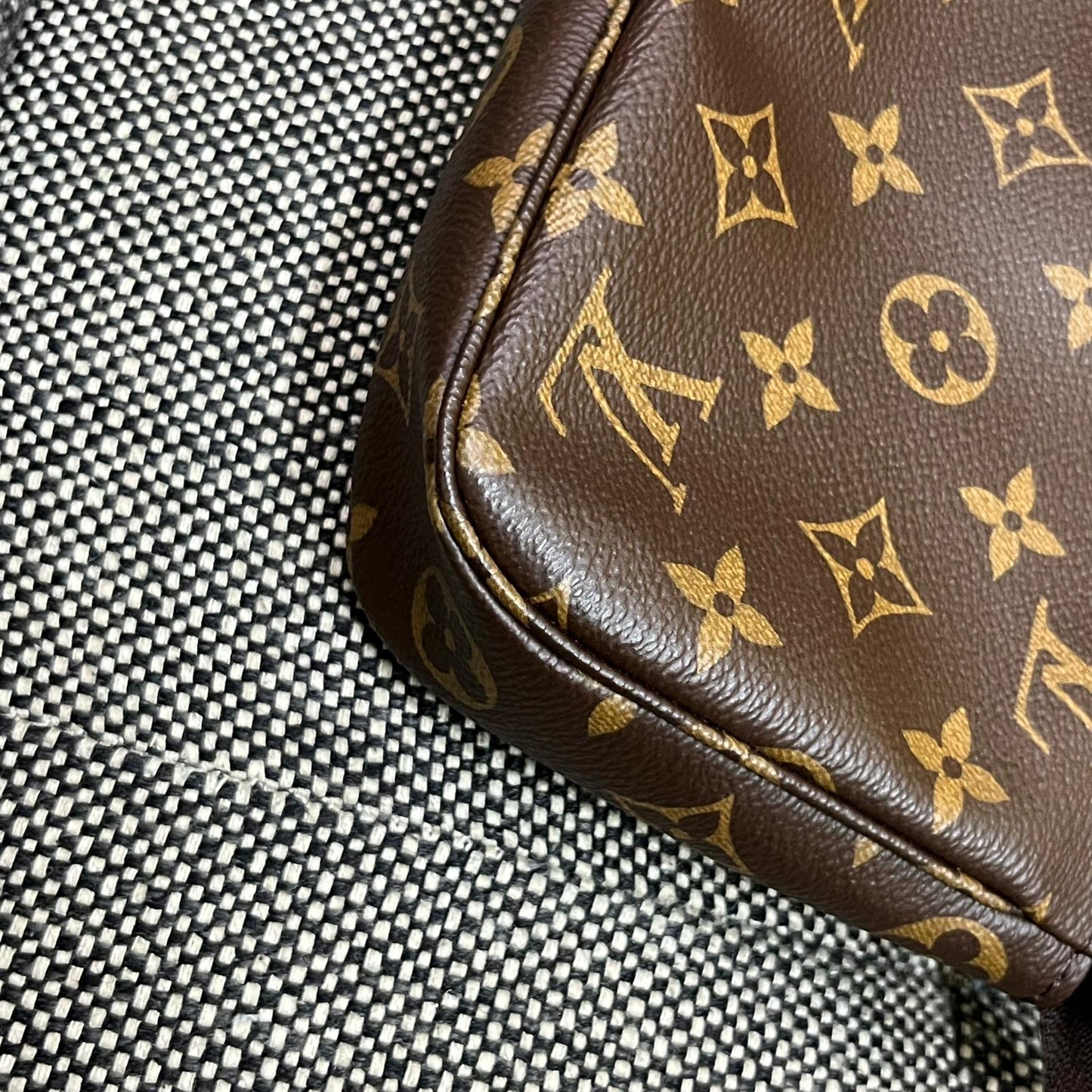Louis Vuitton Pochette Accessories Bag