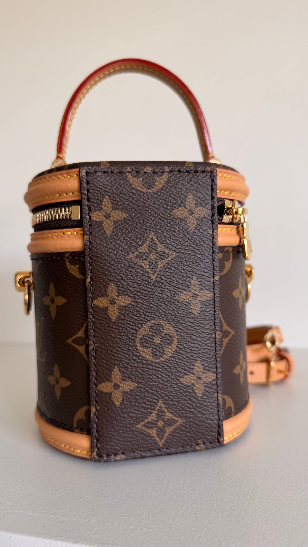 Louis Vuitton Cannes Mini