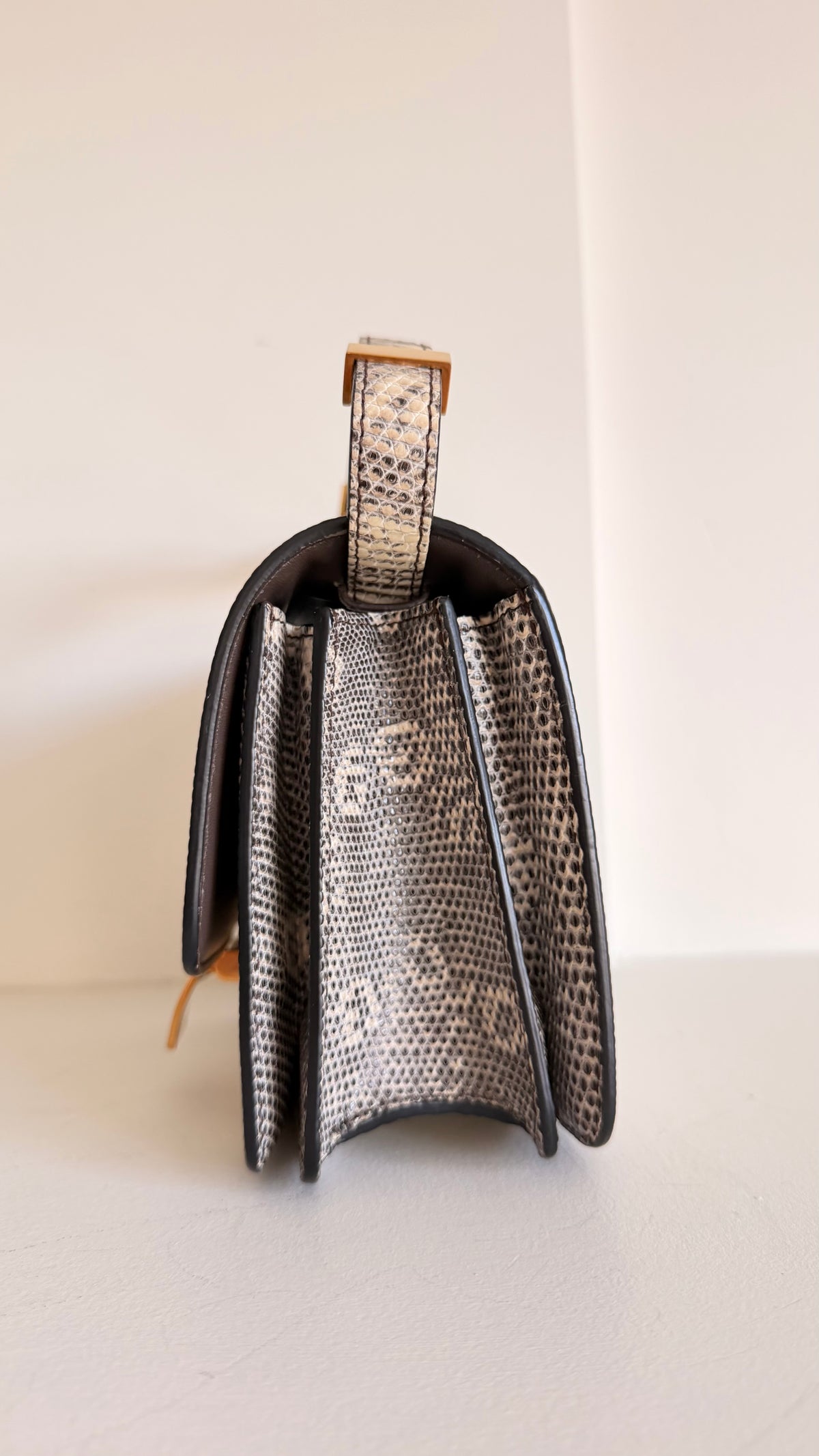Celine Lizard Classic Box Bag Small