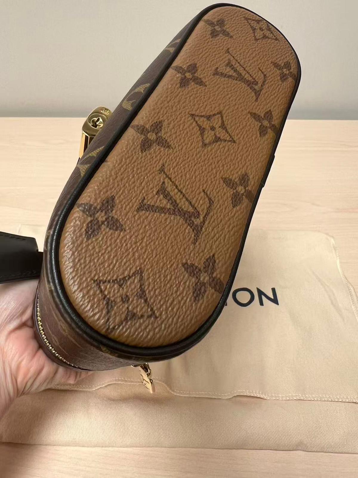 Louis Vuitton Vanity Chain Pouch Bag