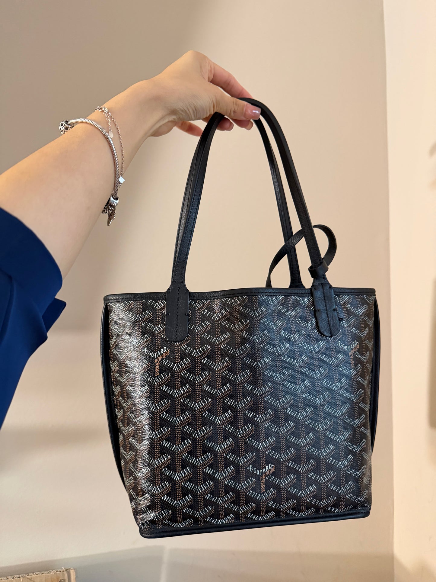 Goyard Mini Anjou Black