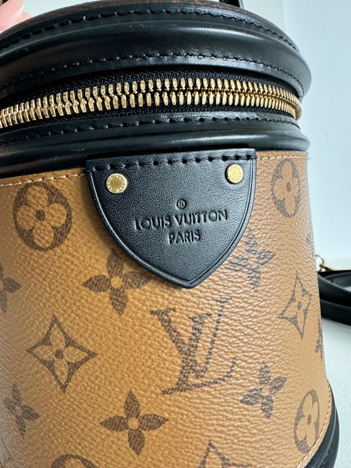 Louis Vuitton Cannes Monogram Reverse Vanity Bag