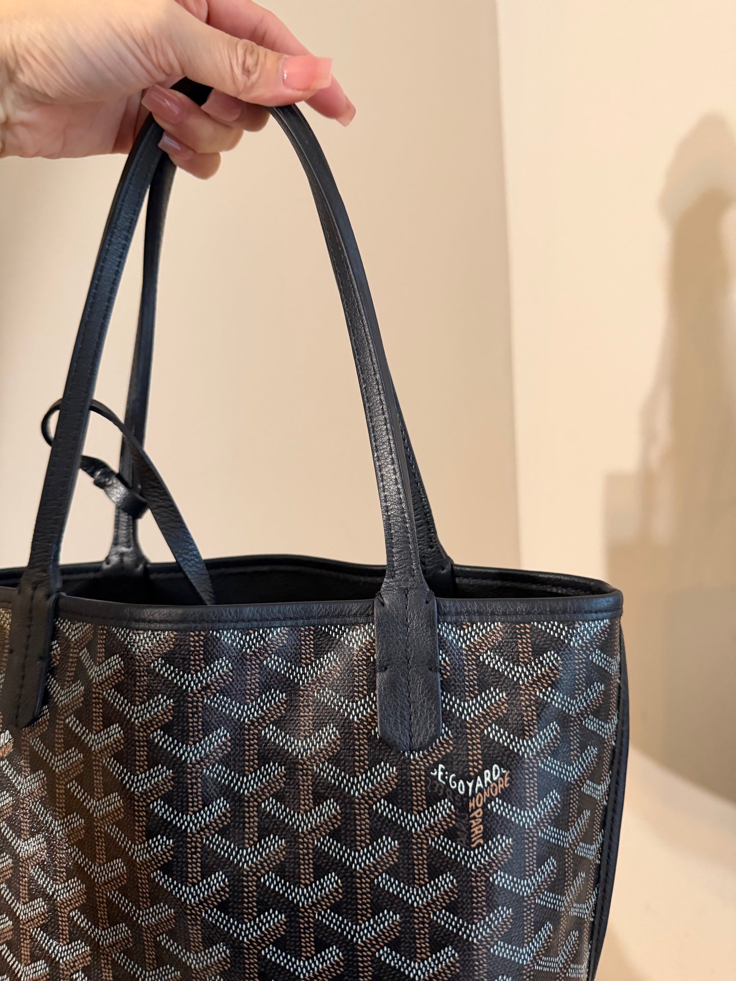 Goyard Mini Anjou Black