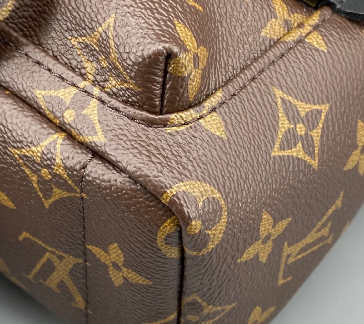 Louis Vuitton Palm Springs Backpack