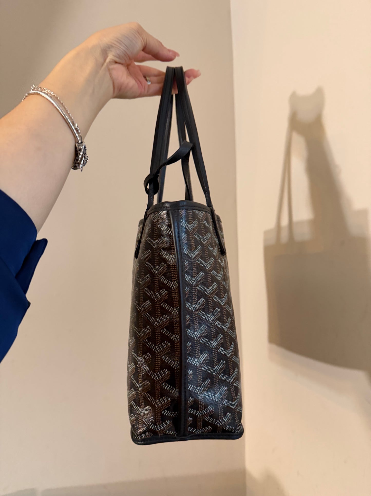 Goyard Mini Anjou Black
