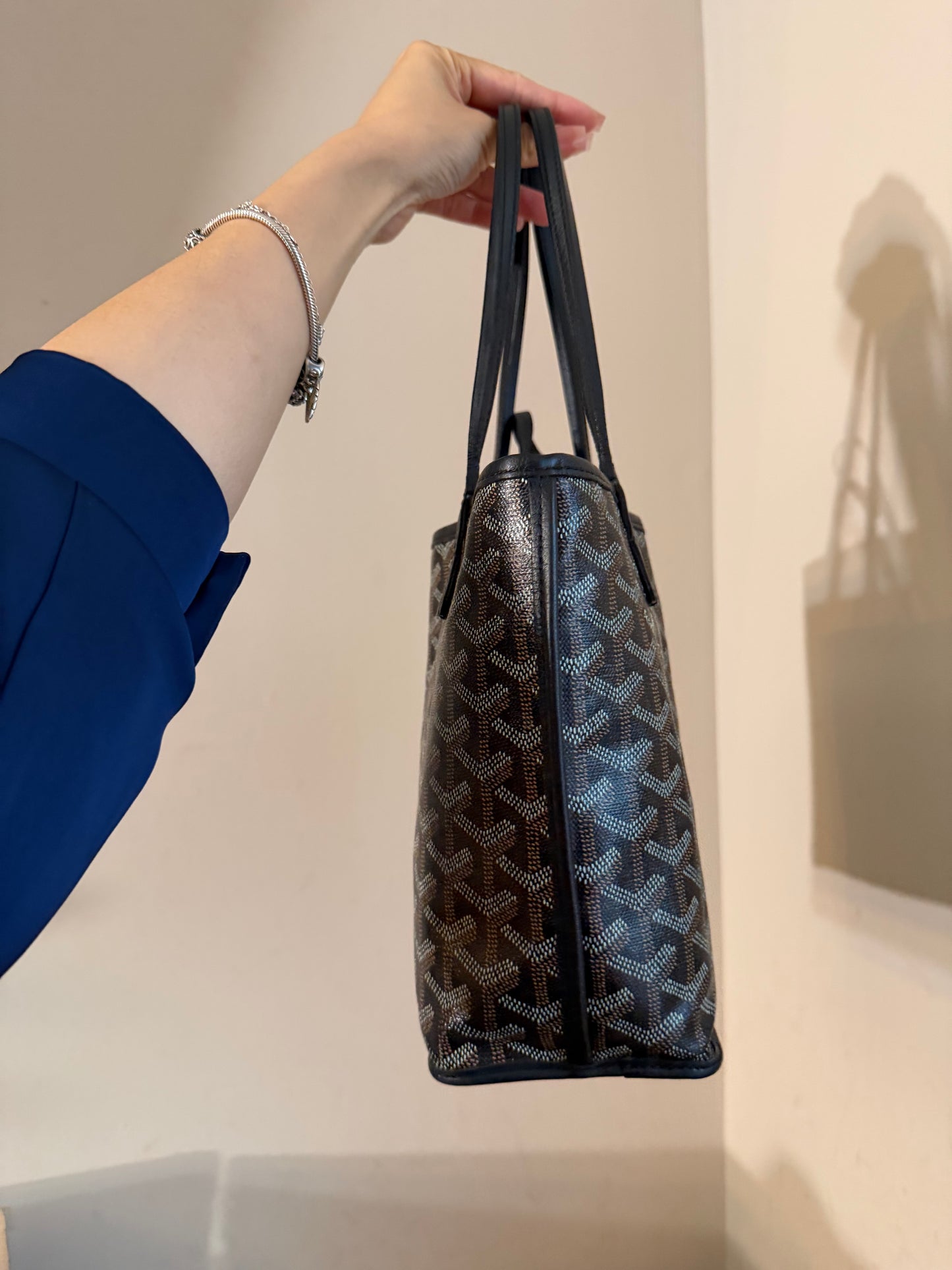 Goyard Mini Anjou Black