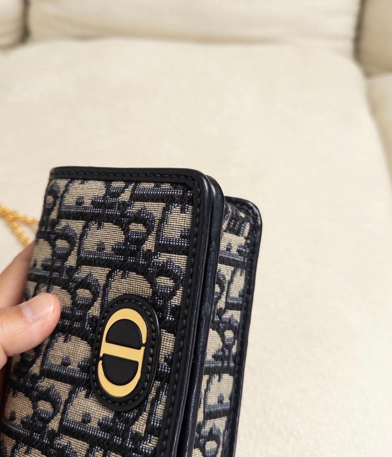 Christian Dior Montaigne Nano Pouch