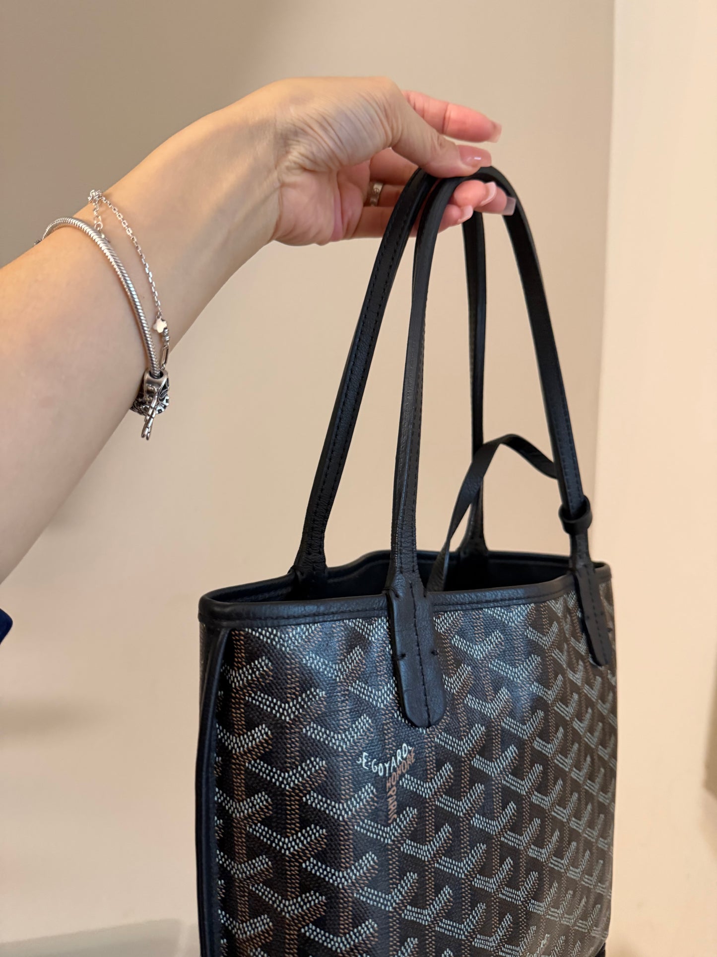 Goyard Mini Anjou Black
