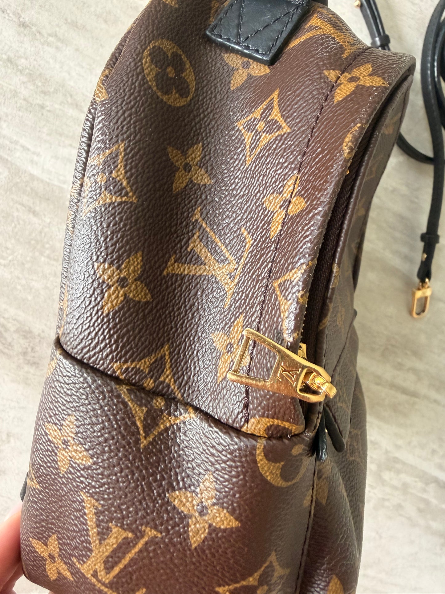 Louis Vuitton Palm Springs Mini Backpack