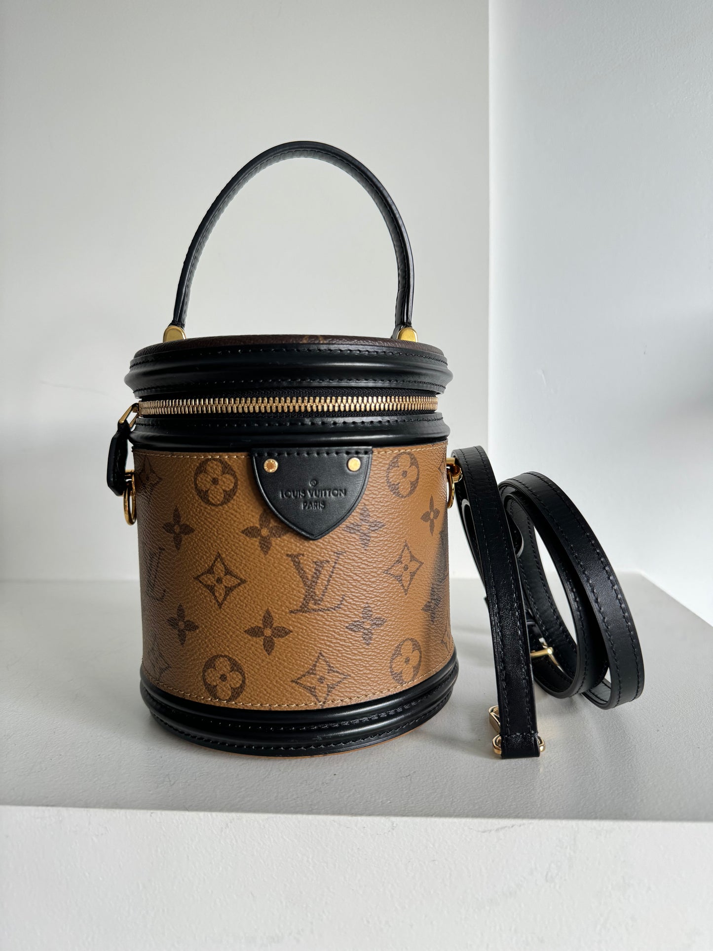 Louis Vuitton Cannes Monogram Reverse Vanity Bag