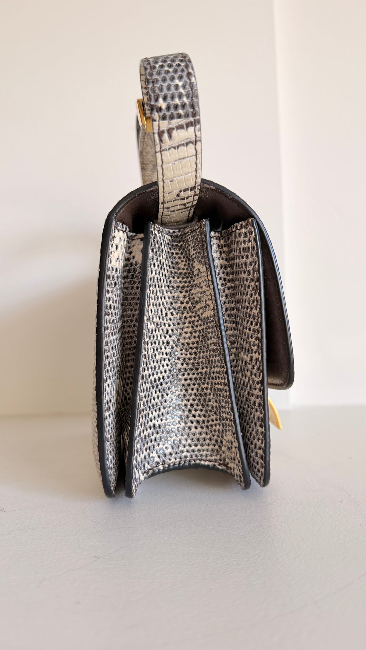 Celine Lizard Classic Box Bag Small