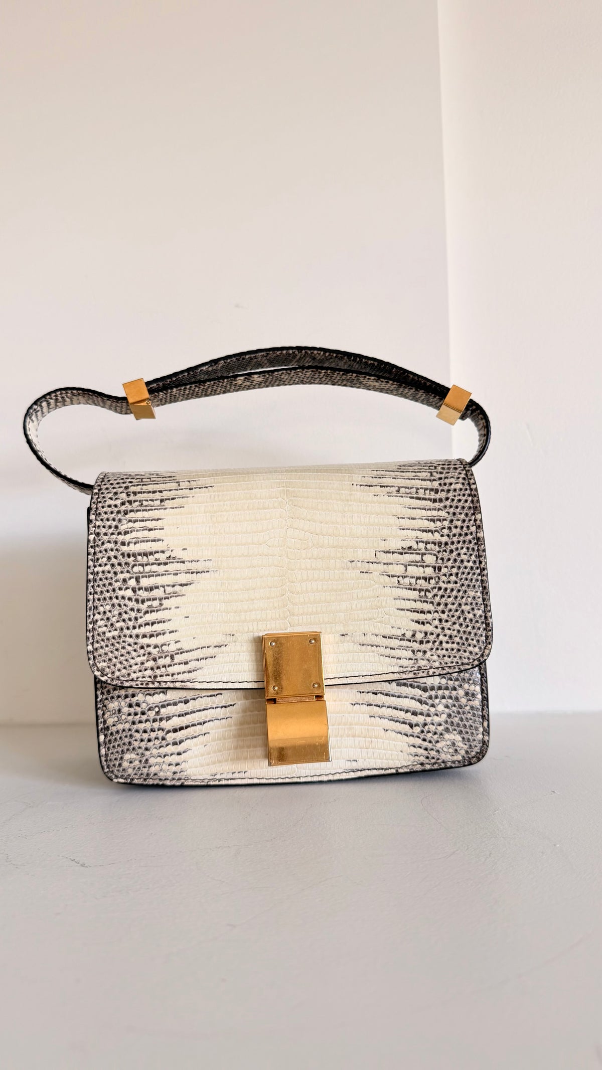 Celine Lizard Classic Box Bag Small