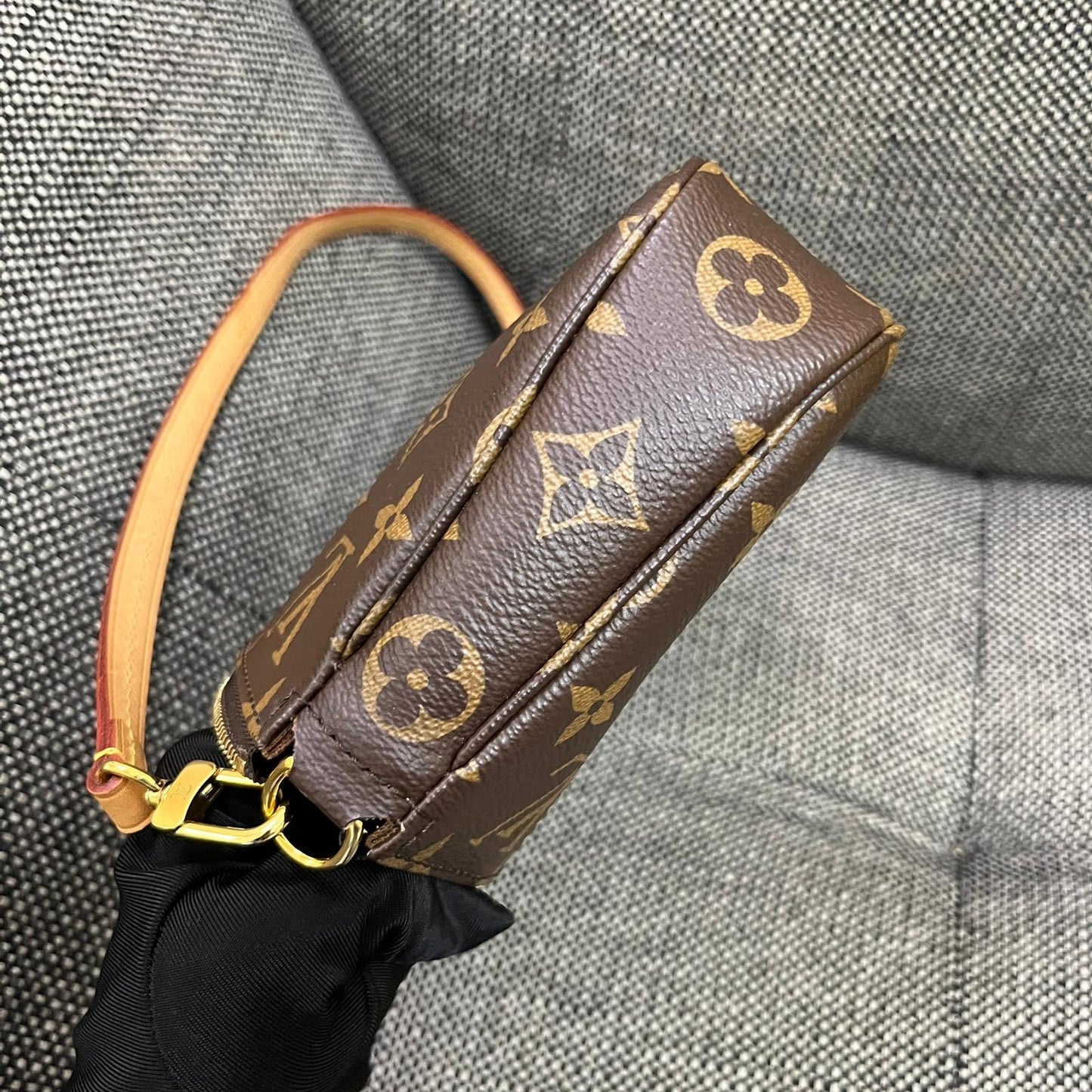 Louis Vuitton Pochette Accessories Bag