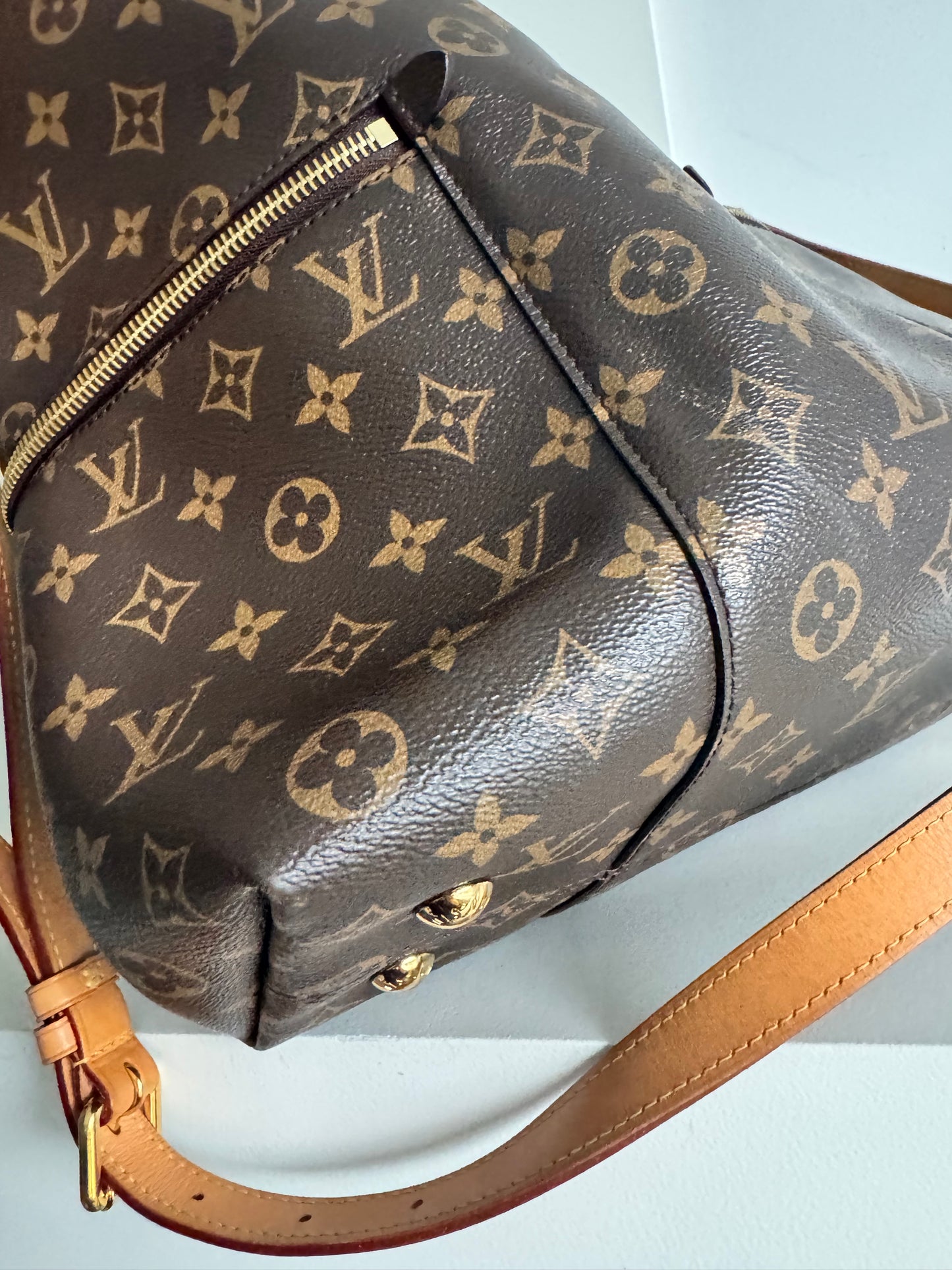 Louis Vuitton Melie Monogram Bag