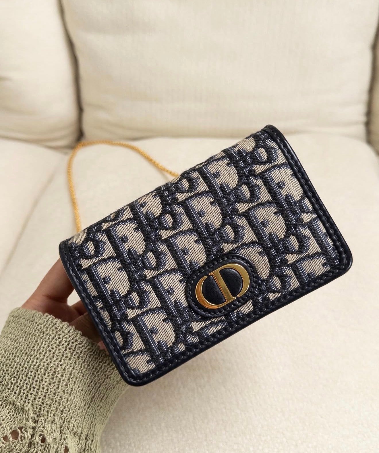 Christian Dior Montaigne Nano Pouch