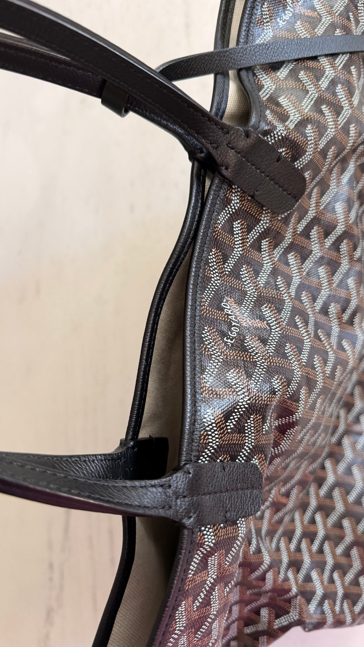 Goyard St. Louis PM Tote Bag