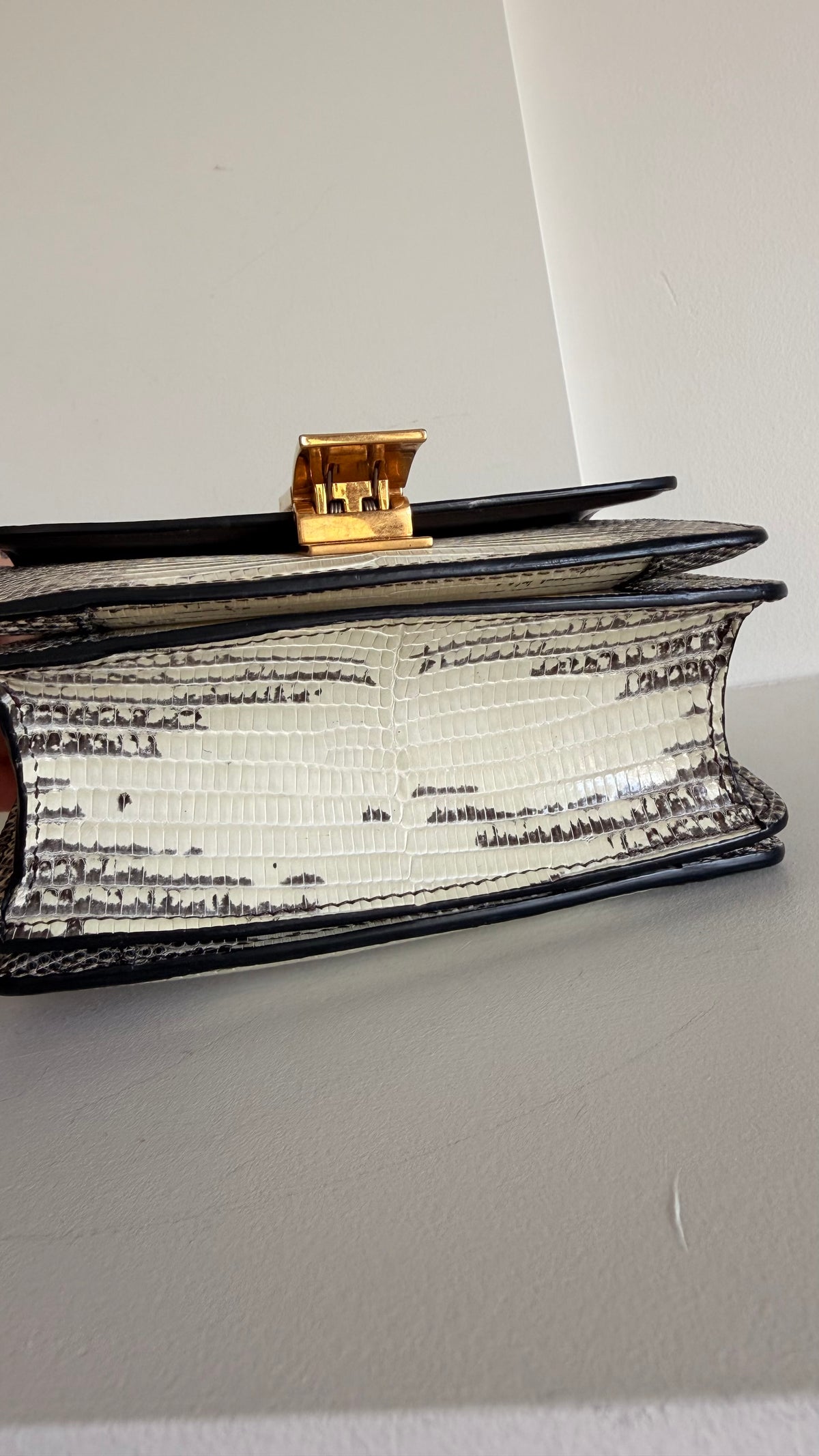 Celine Lizard Classic Box Bag Small