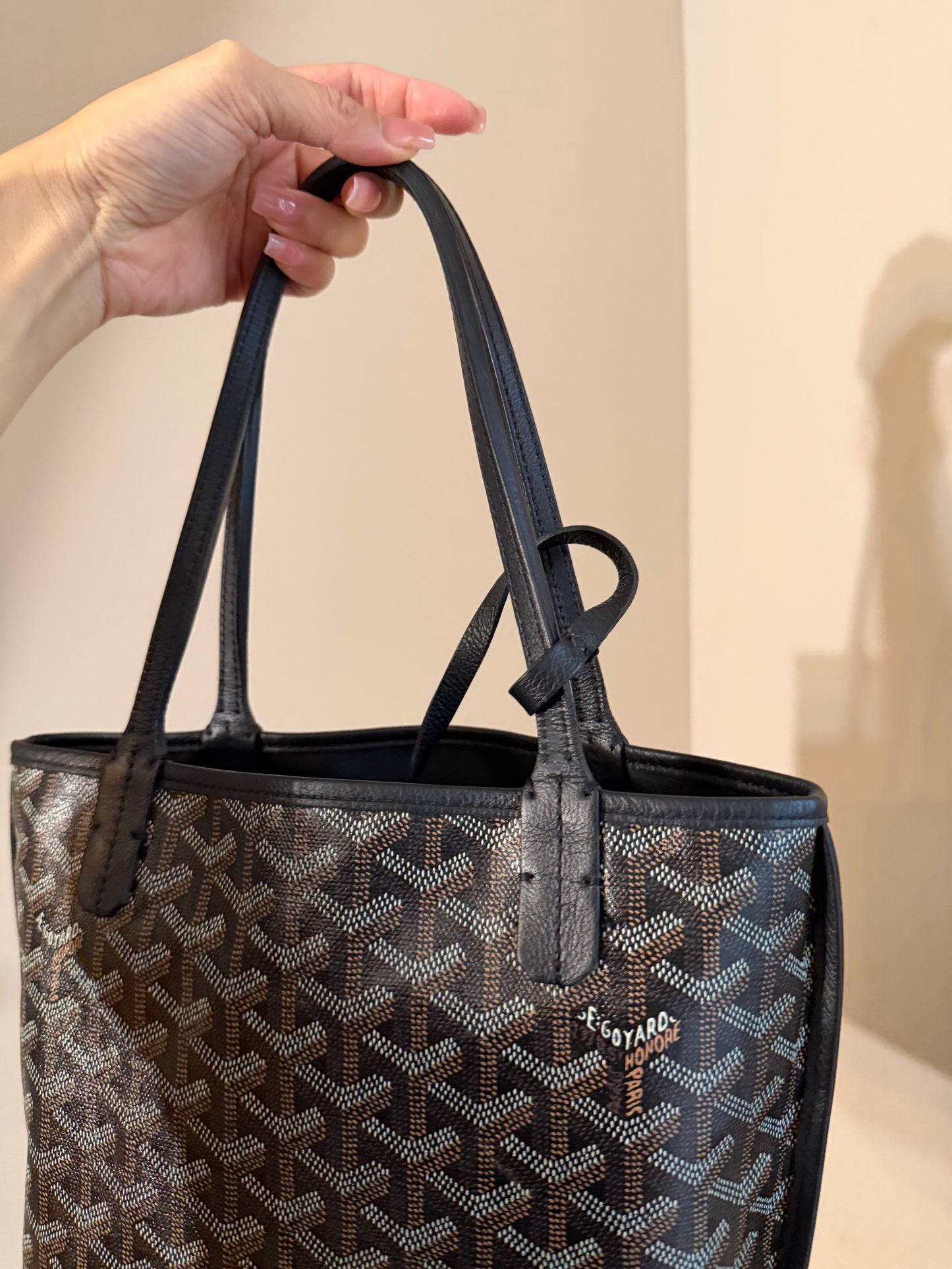 Goyard Mini Anjou Black