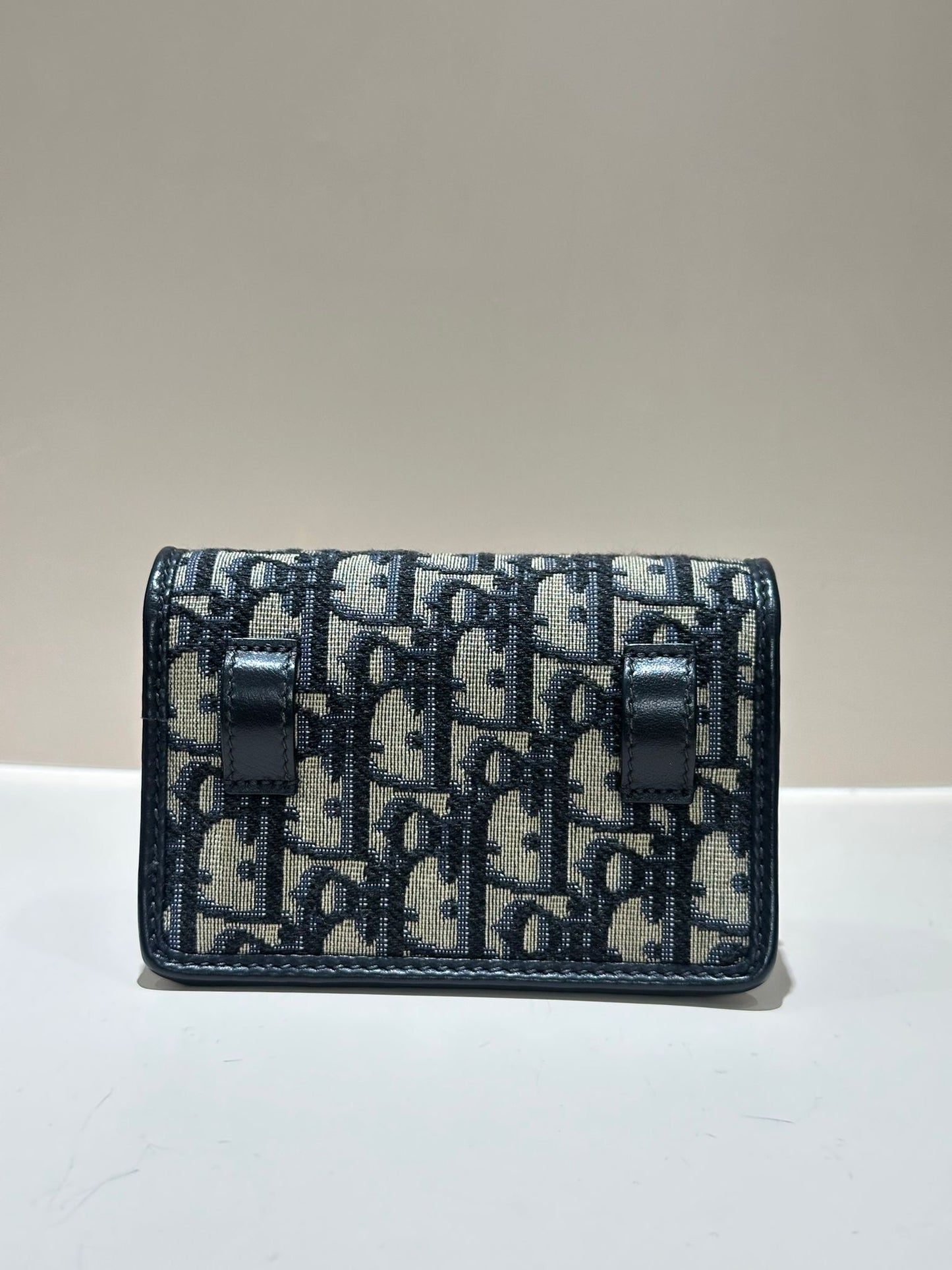 Christian Dior Montaigne Nano Pouch