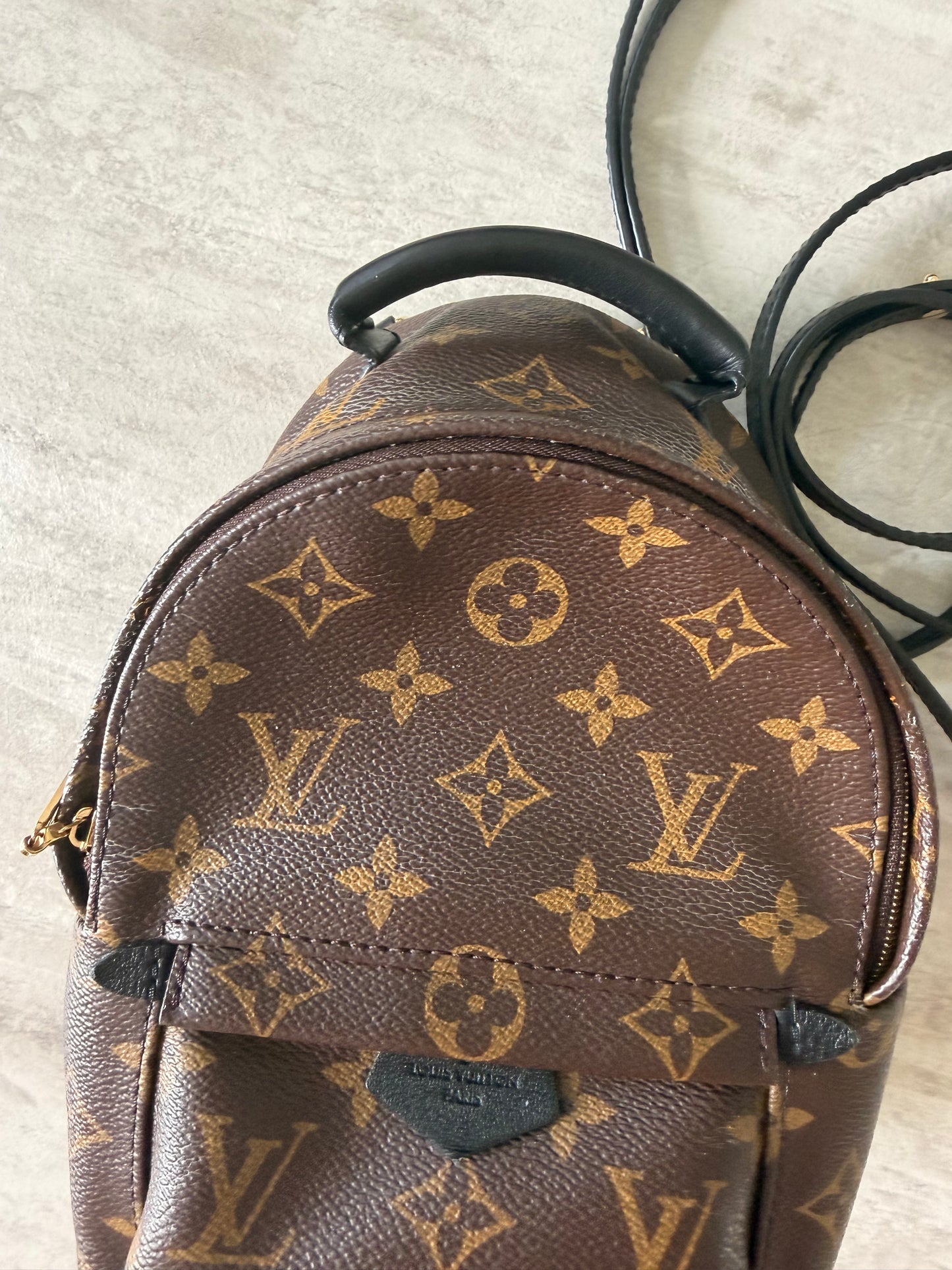 Louis Vuitton Palm Springs Mini Backpack
