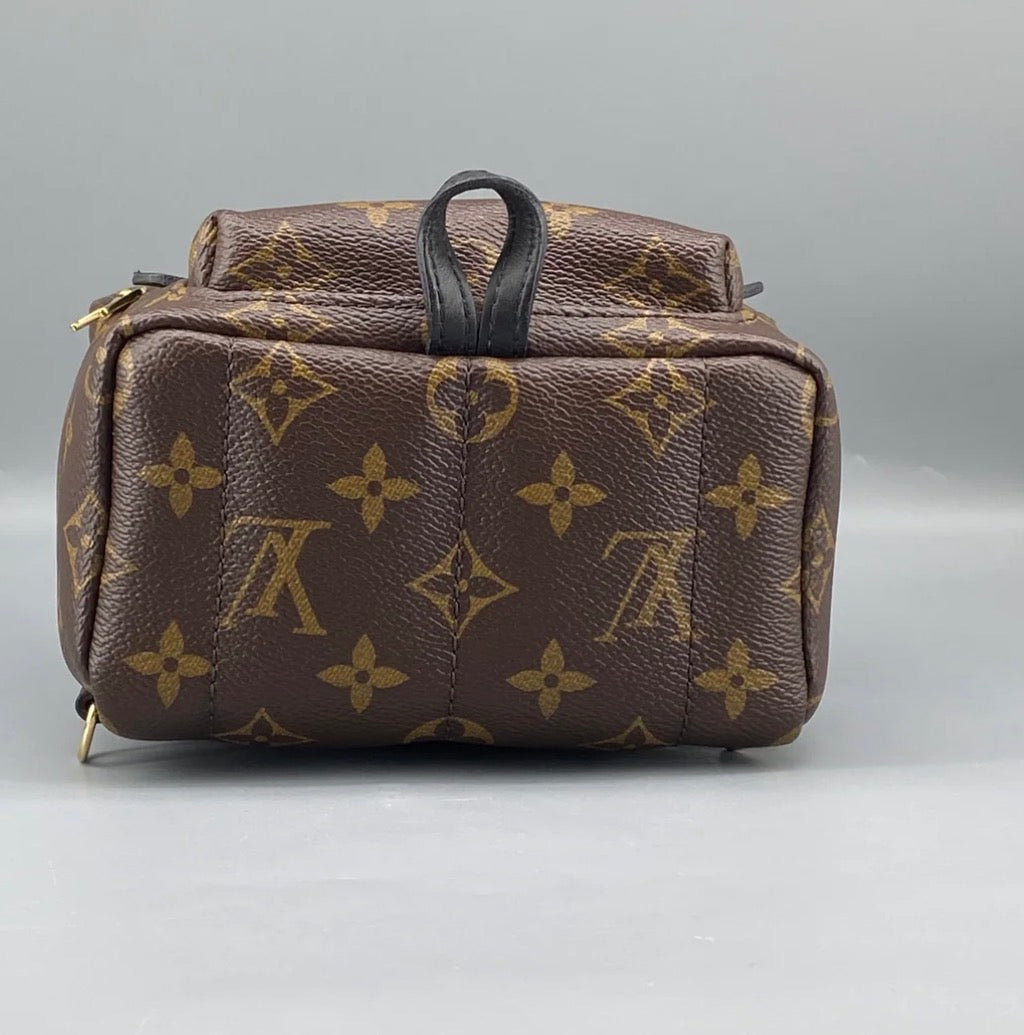 Louis Vuitton Palm Springs Backpack