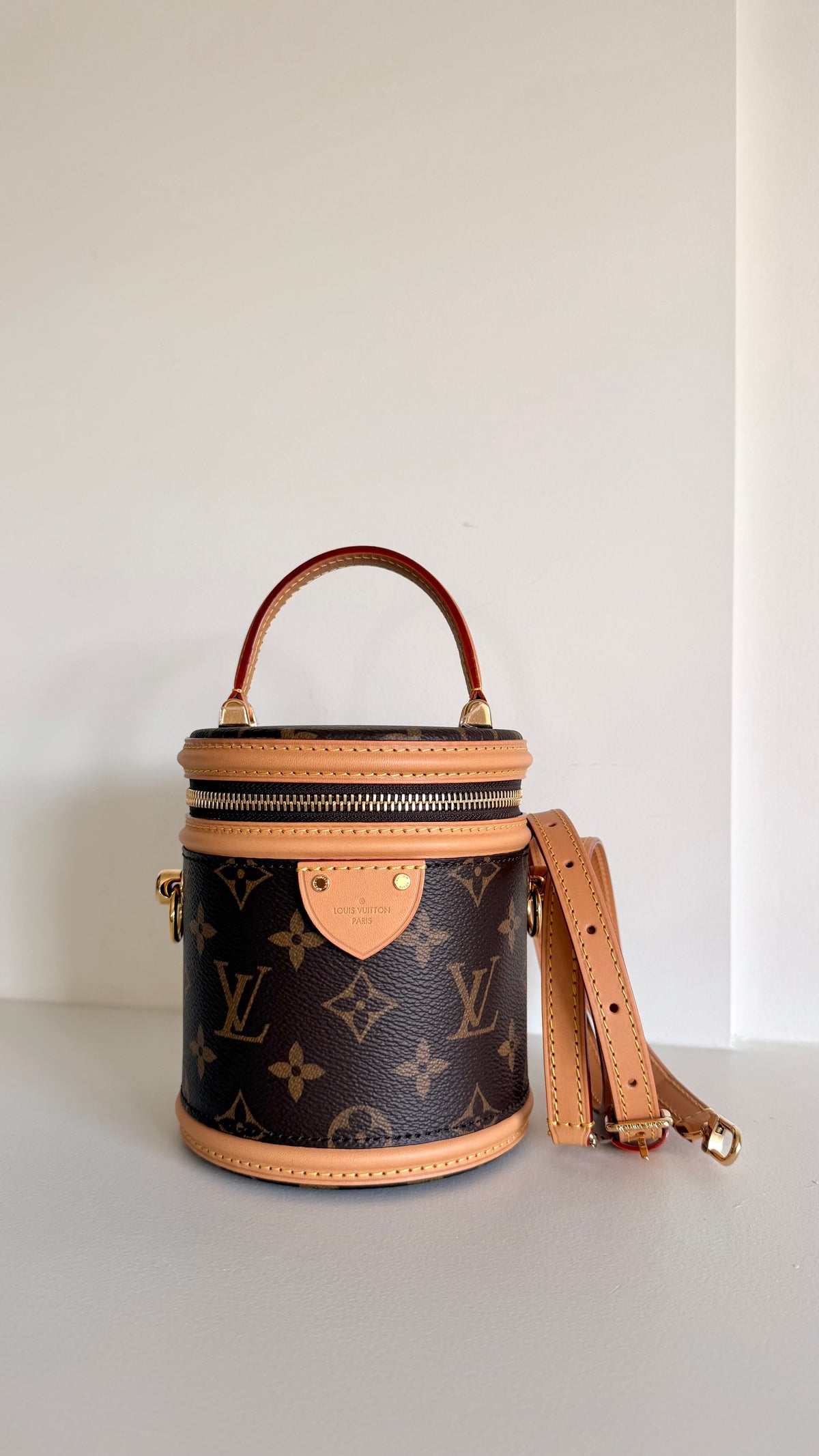 Louis Vuitton Cannes Mini