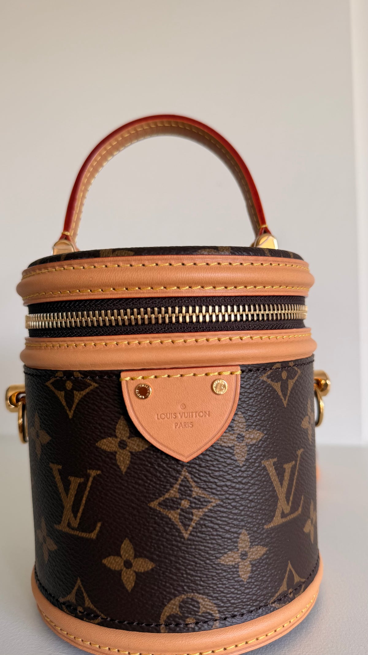 Louis Vuitton Cannes Mini