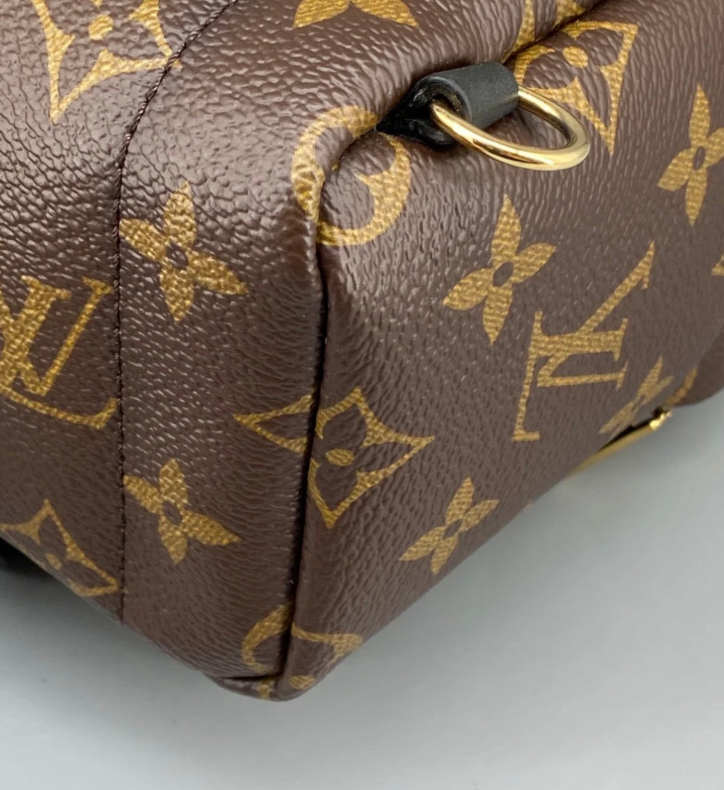 Louis Vuitton Palm Springs Backpack