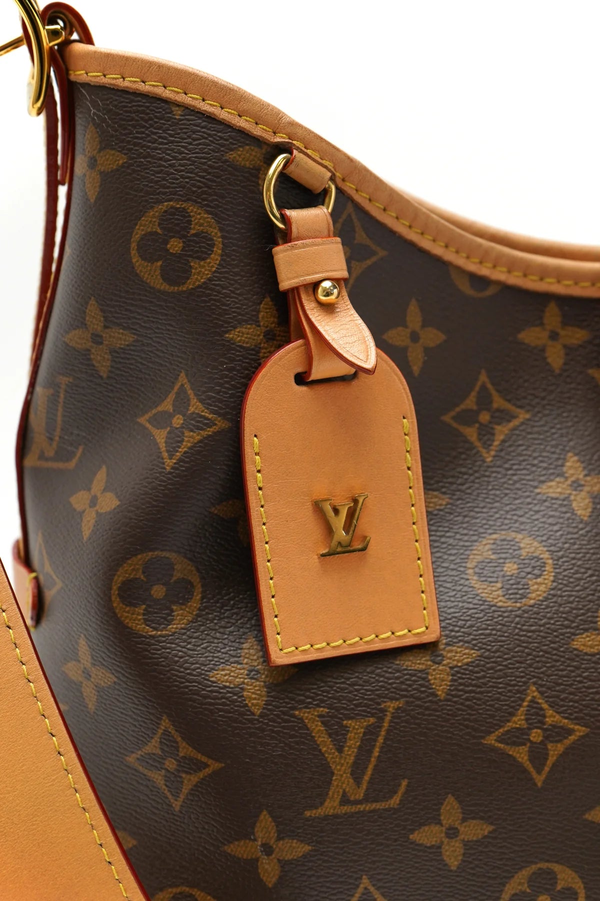 Louis Vuitton Monogram CarryAll PM