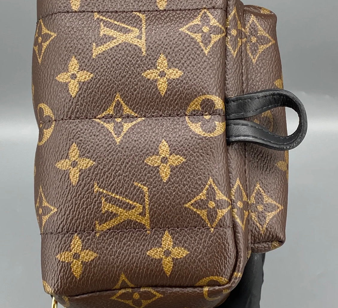 Louis Vuitton Palm Springs Backpack