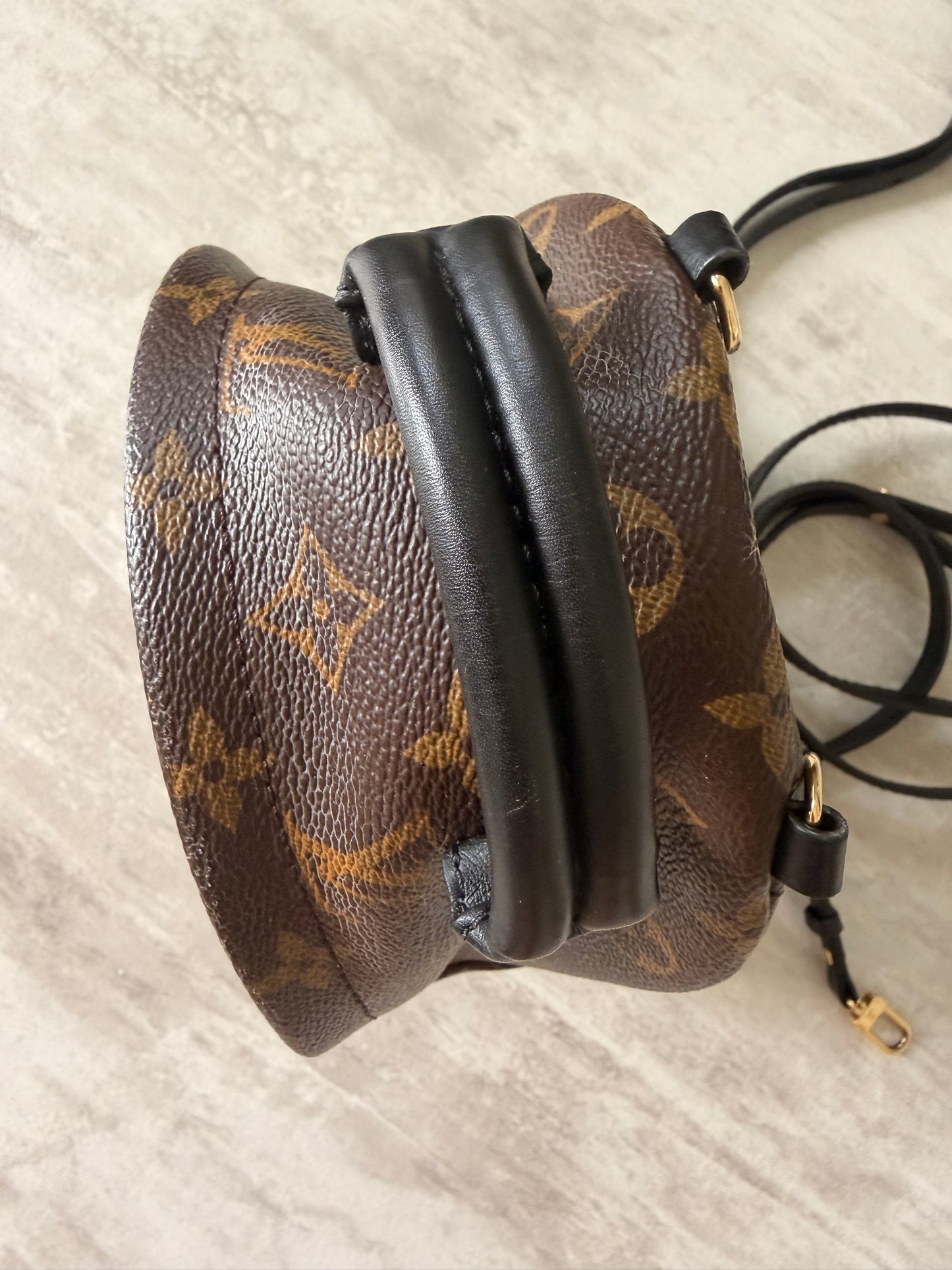 Louis Vuitton Palm Springs Mini Backpack