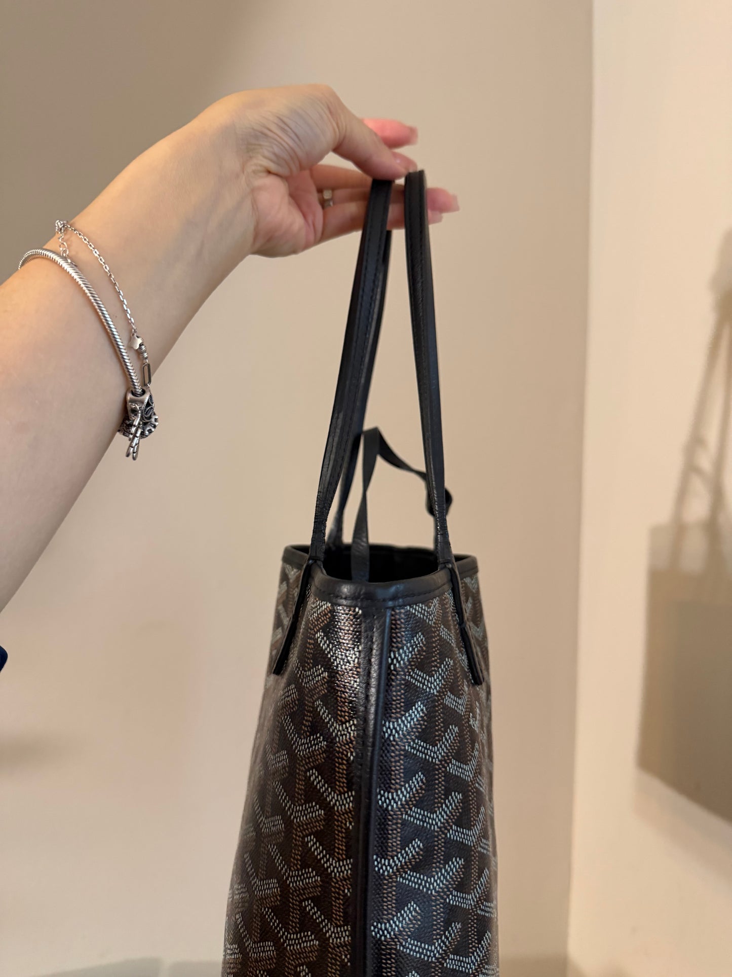 Goyard Mini Anjou Black