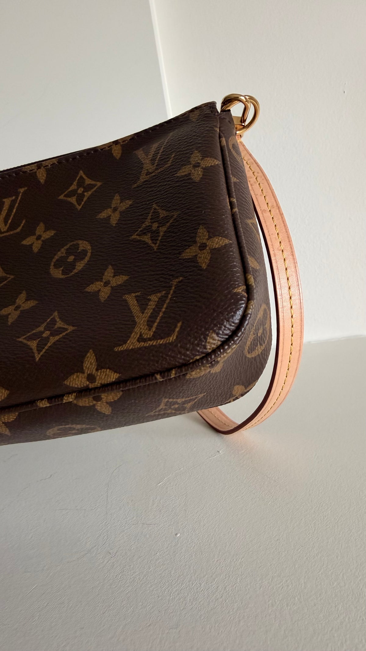 Louis Vuitton Monogram Pochette