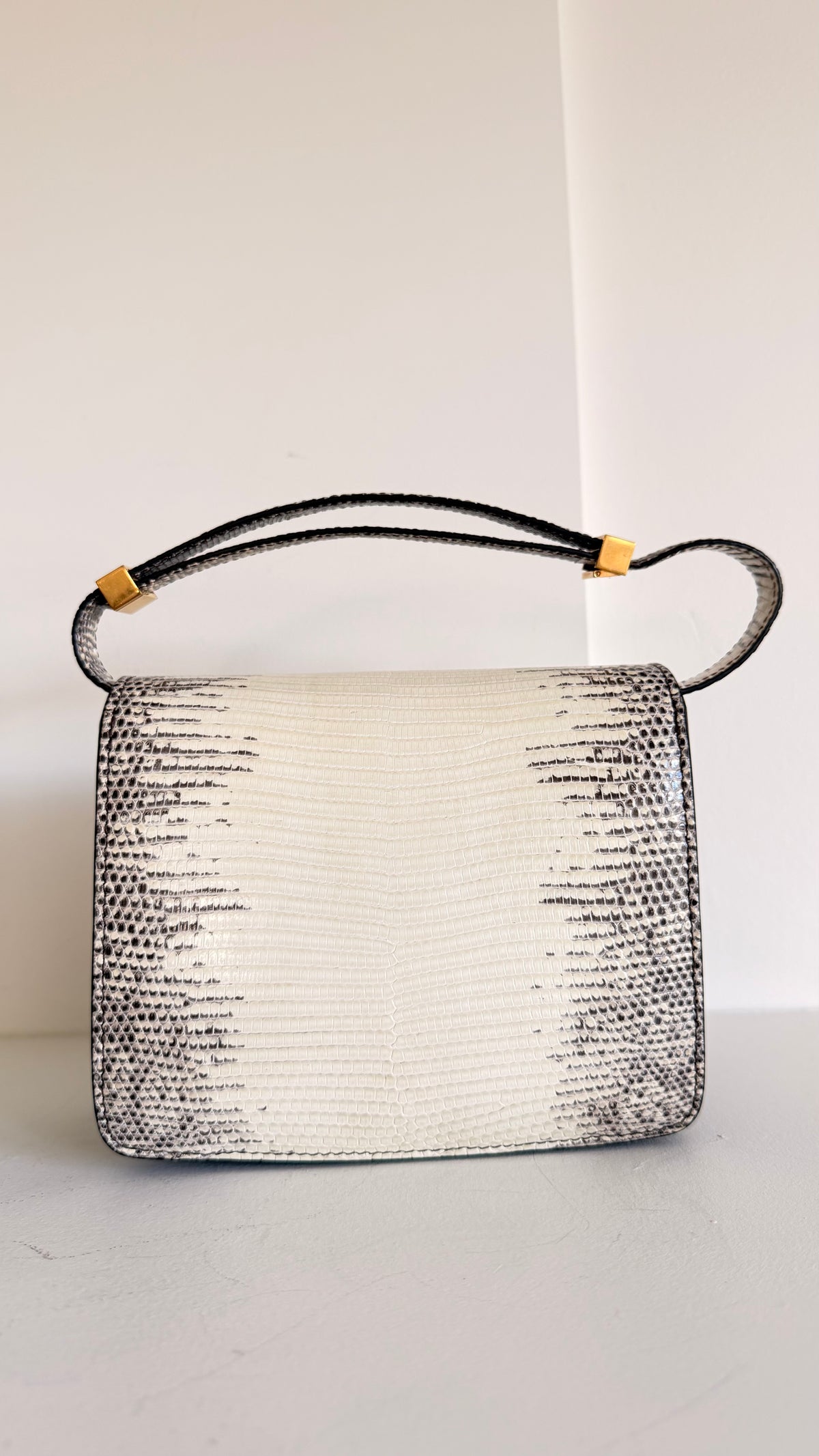 Celine Lizard Classic Box Bag Small