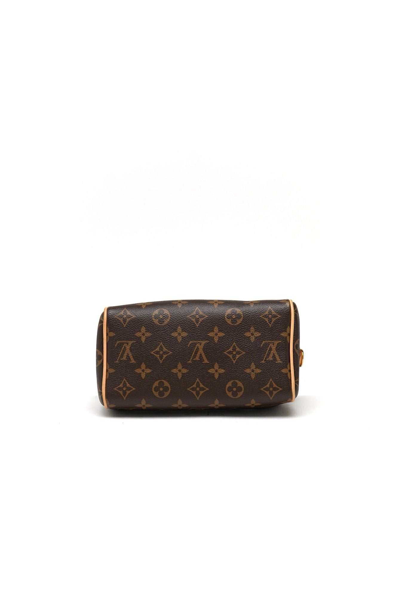 Louis Vuitton Speedy 20 Monogram