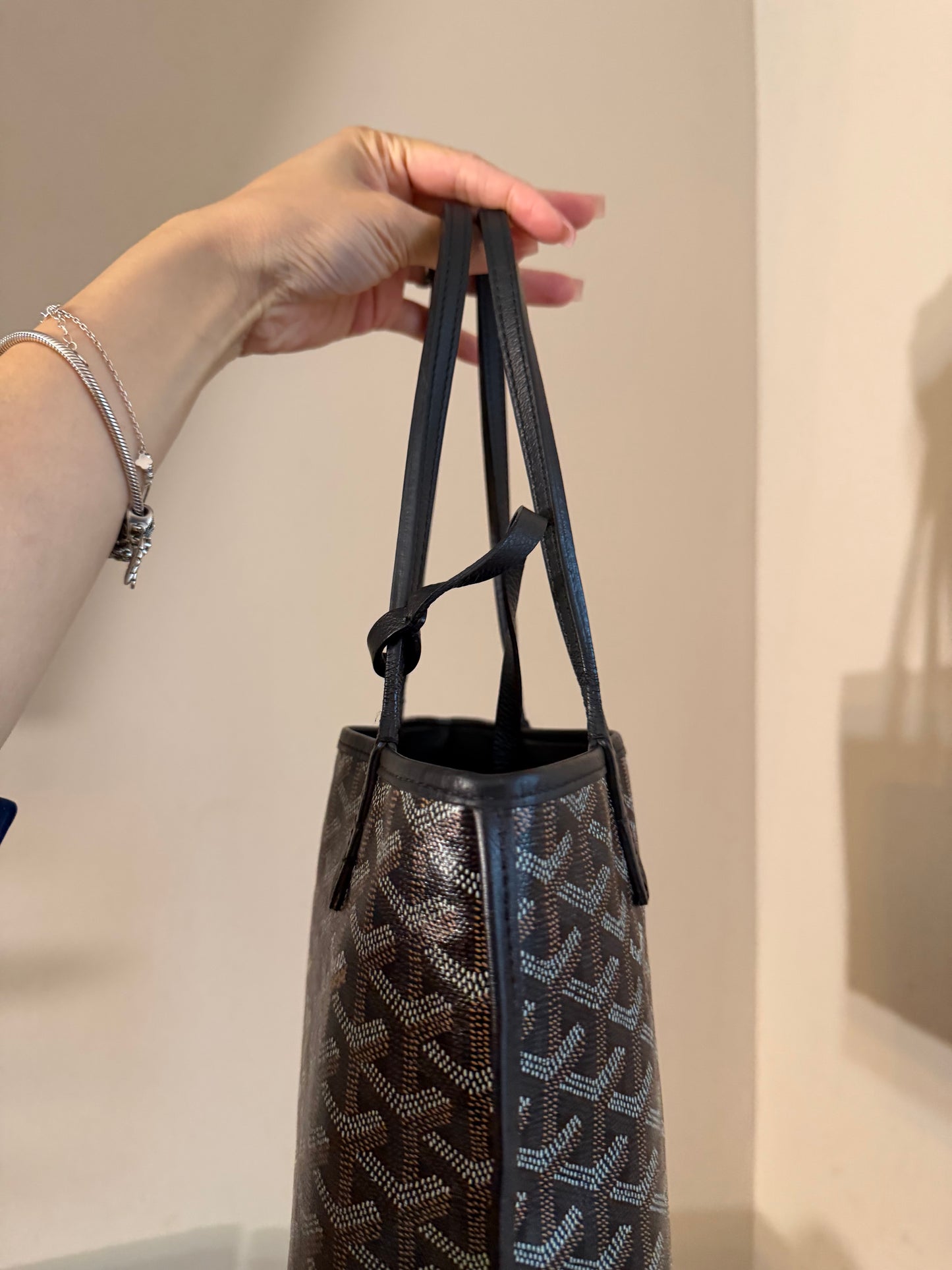 Goyard Mini Anjou Black