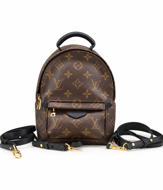 Louis Vuitton Palm Springs Backpack