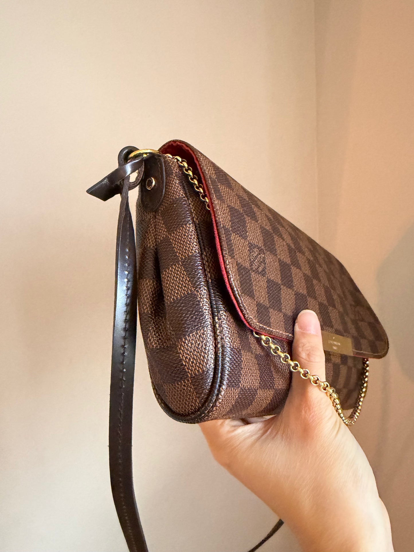 Louis Vuitton Favourite MM Bag