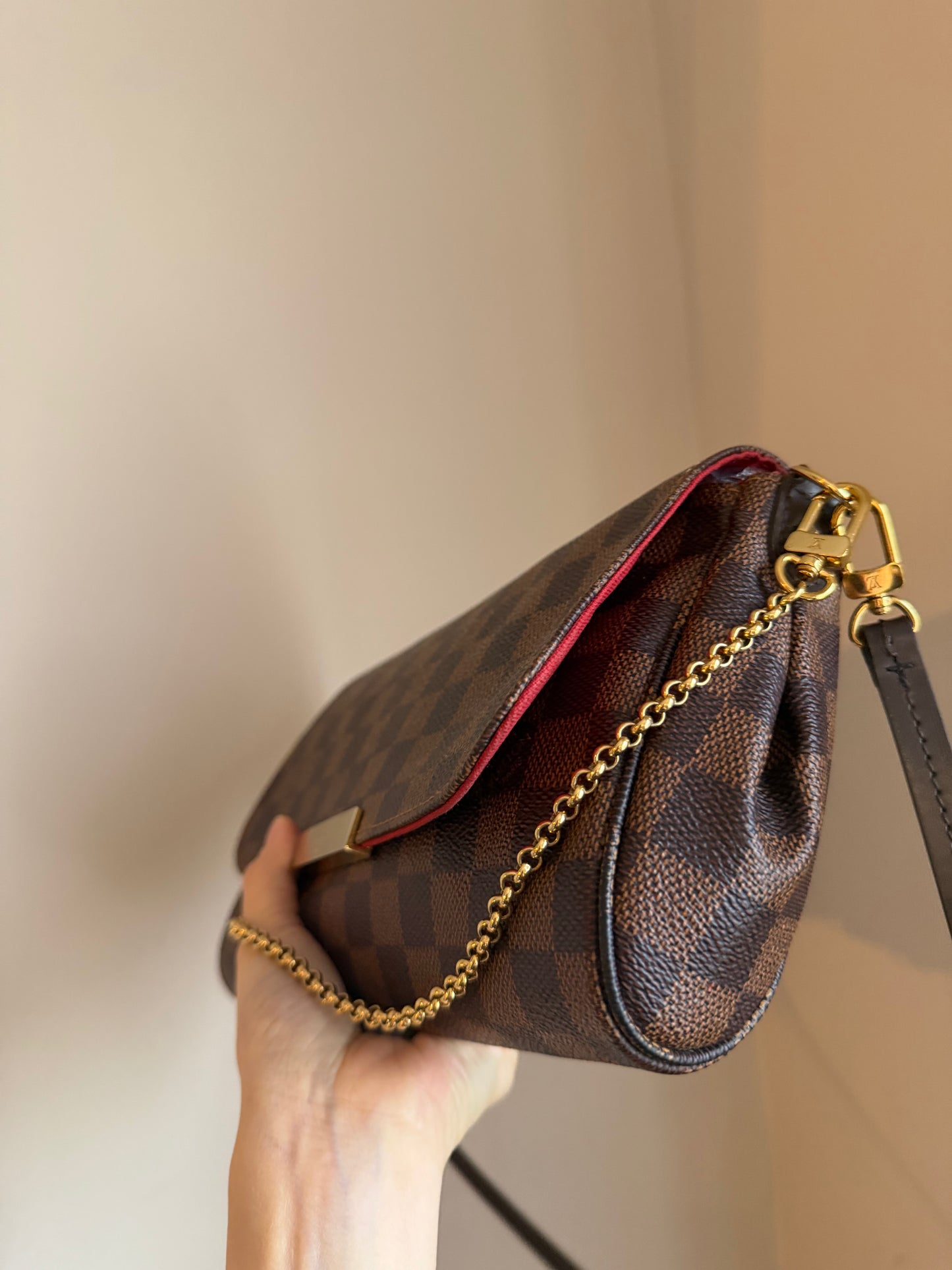 Louis Vuitton Favourite MM Bag