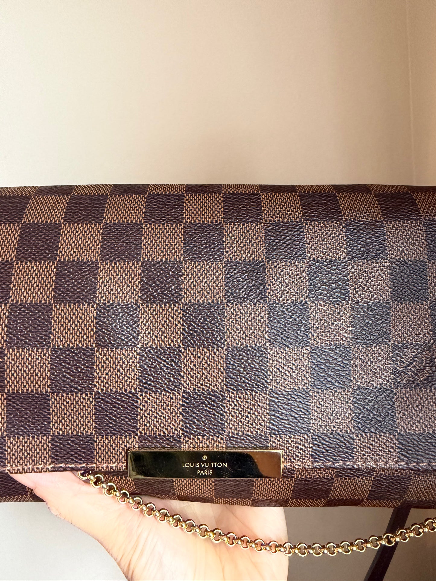 Louis Vuitton Favourite MM Bag
